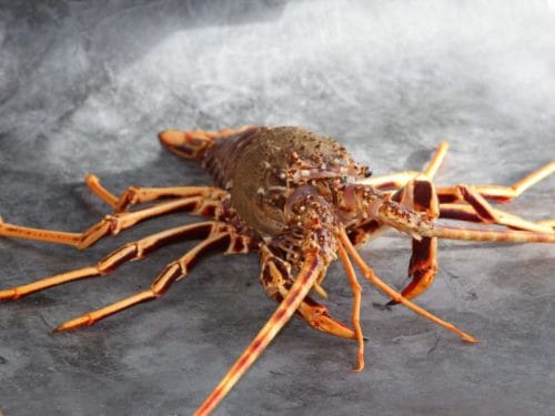 Fresh Frozen Cornish Crawfish