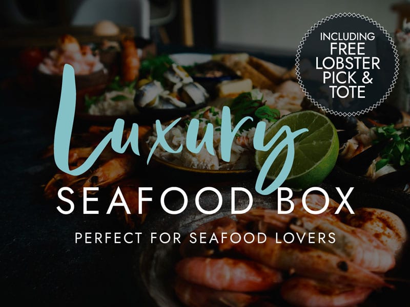 Luxury Hand Picked Cornish Seafood Box | Buy Online | Next Day Delivery