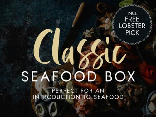 Handpicked Cornish Seafood Box | Order Online | Next Day Delivery